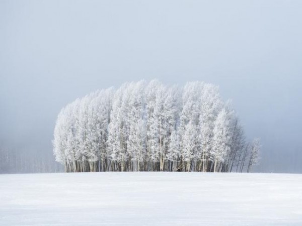 world weather_017.jpg