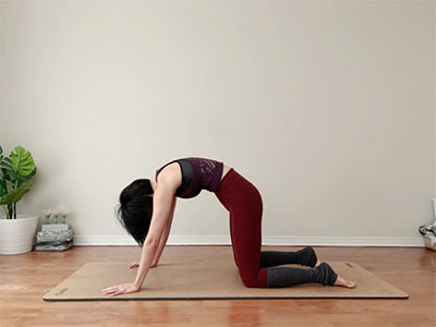 yoga_1003_04.jpg