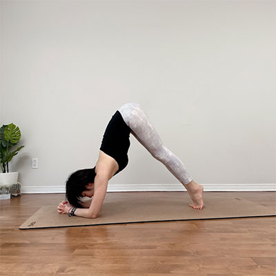 yoga_1009_04.jpg